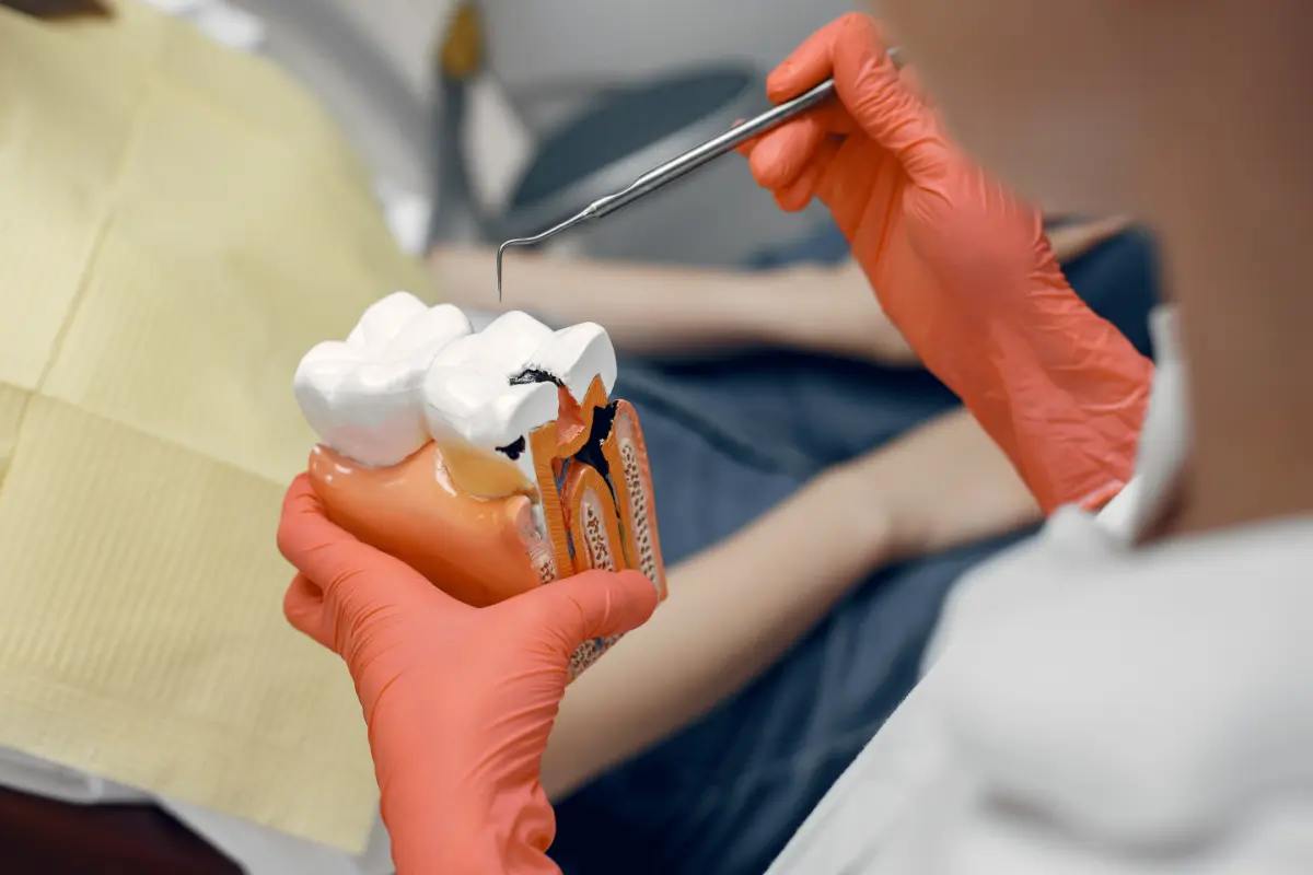 Zahnarztpraxis Angela Kratzer aus Gohrisch – Endodontie Endodontie
